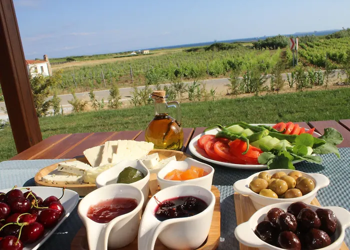 Defne Bag Evi Hotel Bozcaada