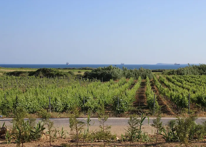 Hotel Defne Bag Evi 2*